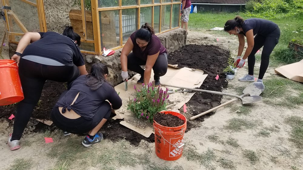Native Pollinator Bed Planting
